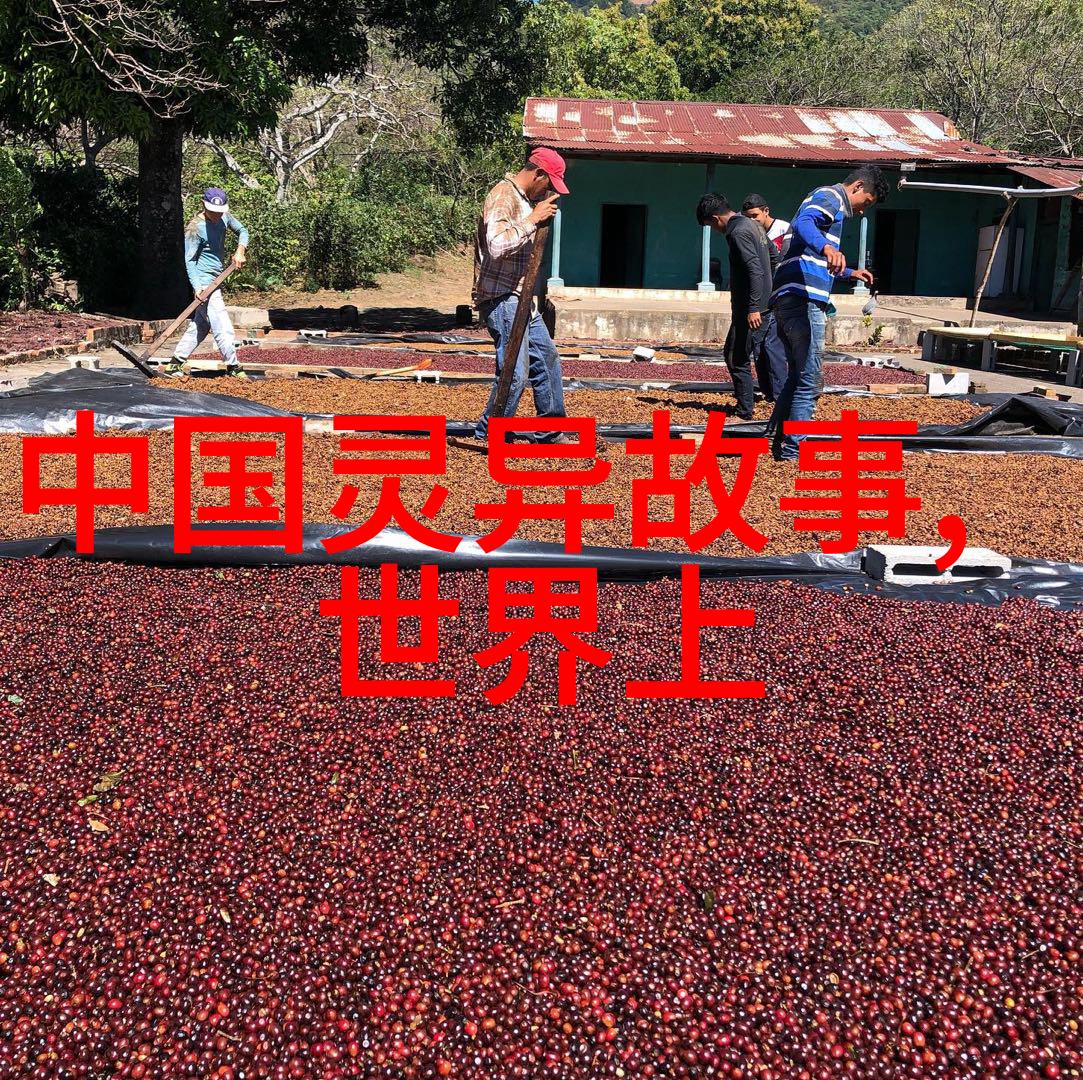 追溯历史足迹南宋与北宋的朝代先后之谜