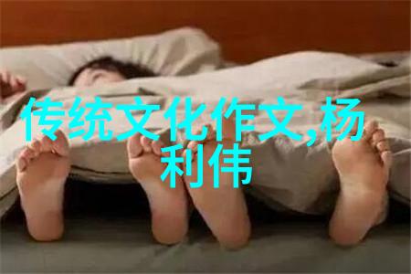 南宋后期岳飞抗金英雄事迹