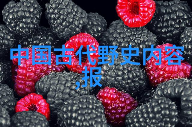 中国历史名人传记中华文明的闪光点