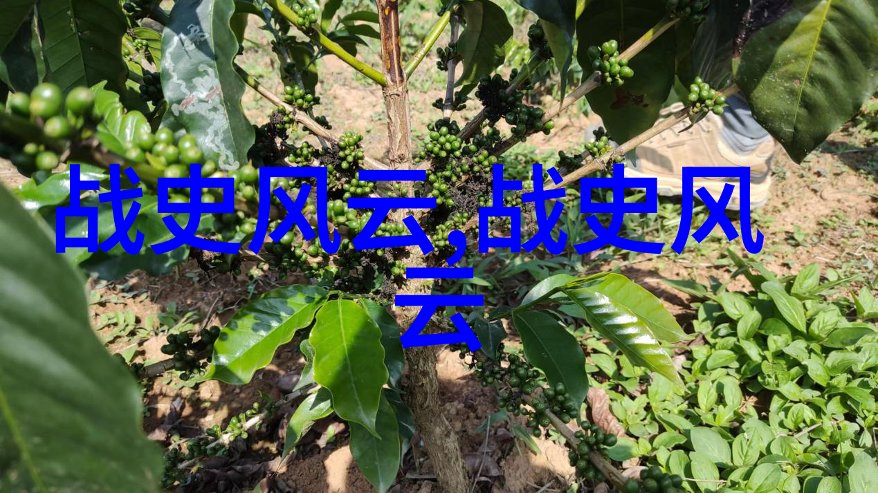 那位伟人背后的秘密他真的能预见未来吗