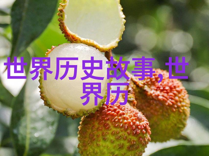 揭秘历史的边缘那些未被记录的故事与趣事