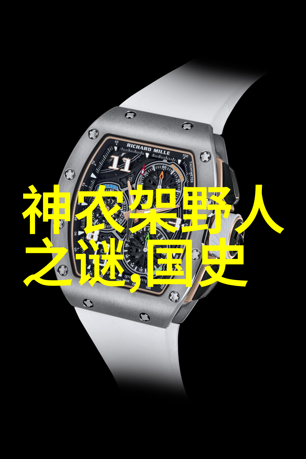 探索历史的无限可能专门看历史的应用程序