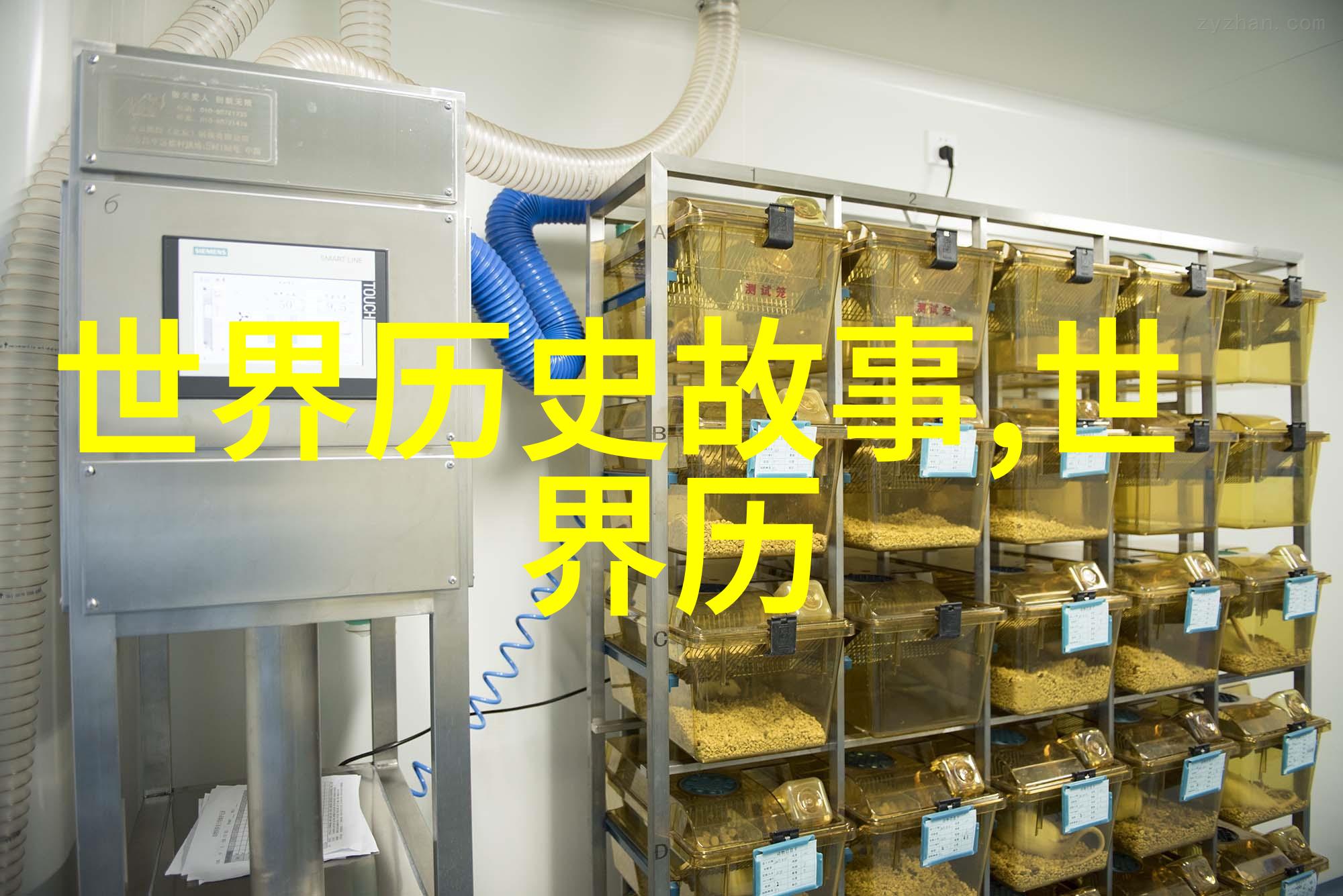 忘忧草影院日本韩国网址我这不就找到了个神奇的地方吗在这里你可以一边追剧一边忘记烦恼