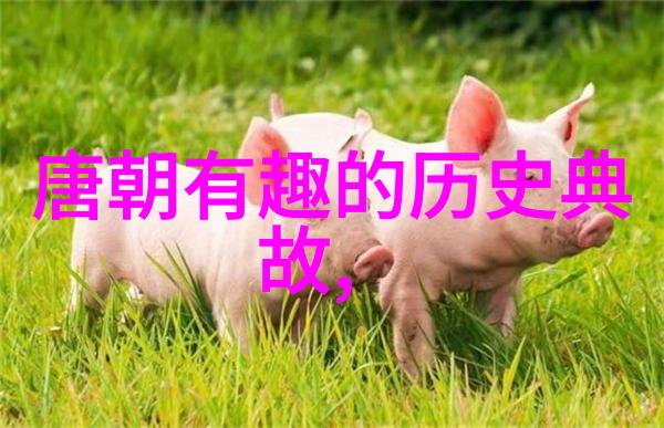 红色故事中的孩子们会不会在无人知晓的夜晚聚集起来分享他们勇敢和友谊的秘密