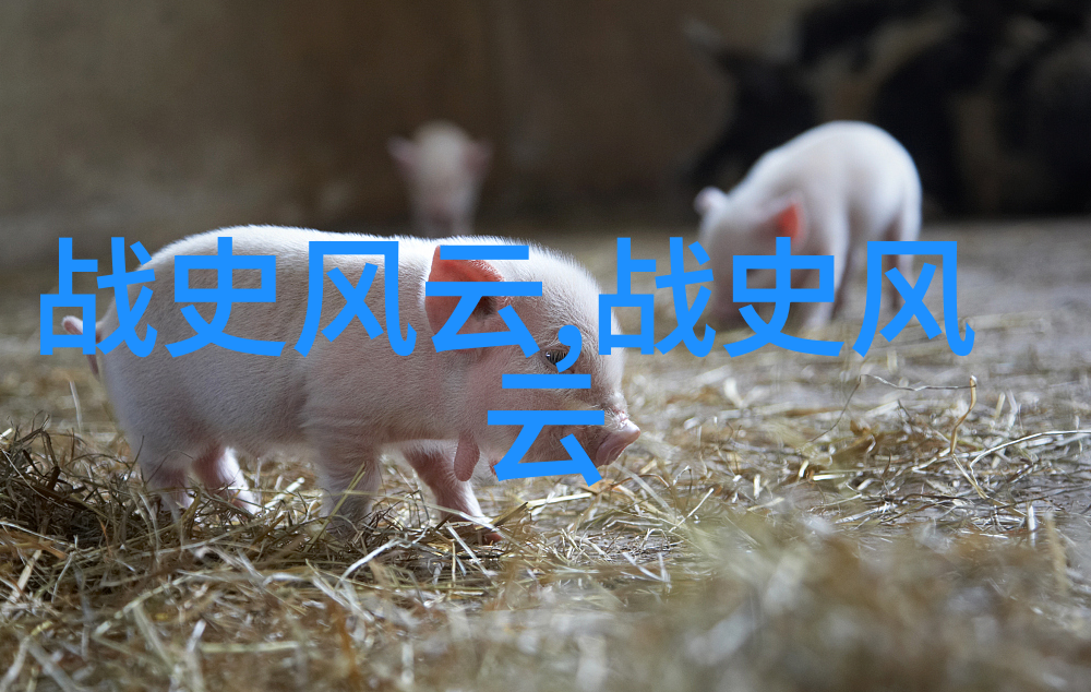 世界趣事奇闻 - 地球上的奇迹与趣味探索人类生活中的不可思议故事