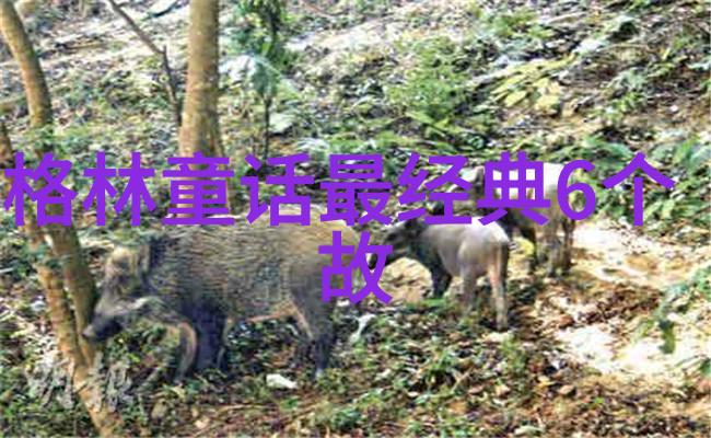 夜秦风情下的杨式太极拳张国峰的流萤舞步