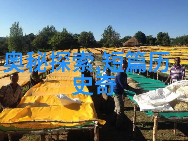 现代中国的变革与挑战从改革开放到国际大国作用发挥