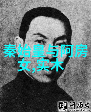 追忆岁月1949年后中国野史大全中的隐秘篇章