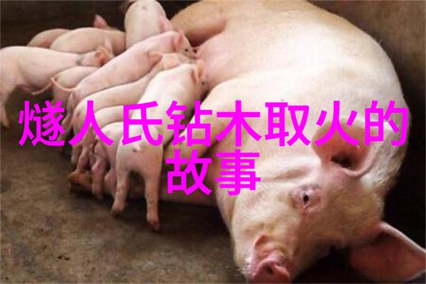 中国民间故事 济公二十四朝代顺口溜在社会中流传