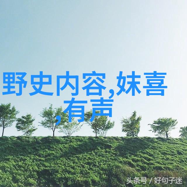 元朝版图辉煌从蒙古帝国到中国统一的征程