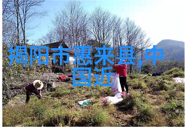 谁是庄姜揭秘五代十国的十大名将之谜