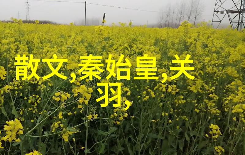 龙涎香与凤凰羽明朝的传奇故事
