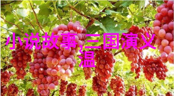 中国历史app-探索古今中国历史app引领时空旅行