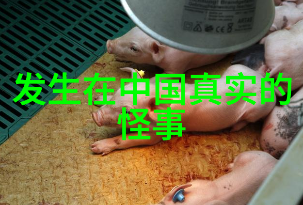 紫罗兰醉舞红楼梦
