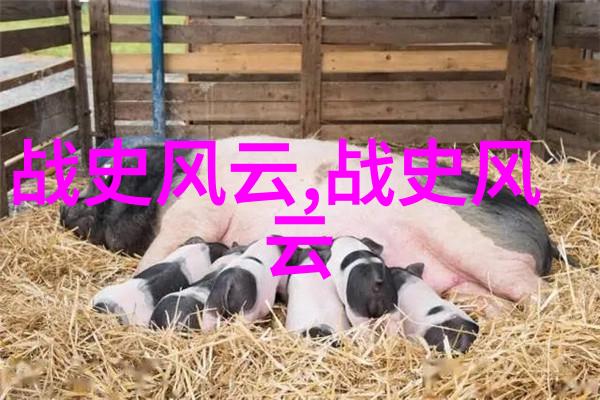 四房播播探索家庭与生活的多面性