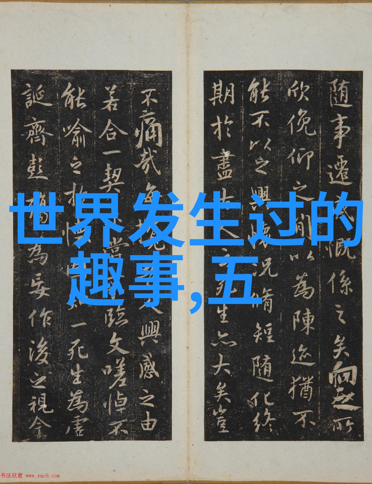 大海的守护者鲨鱼