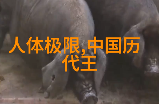 中国真实的历史故事-揭秘中原之光唐朝三杰的传奇