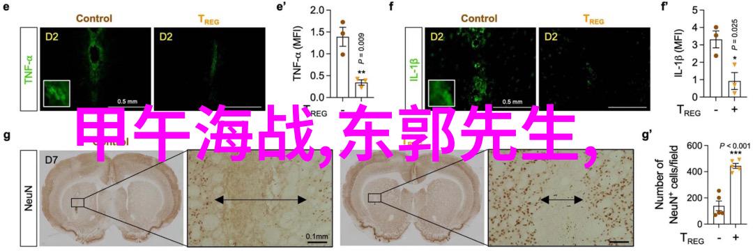 醉心樱桃酿一段温柔的酒香与文字之旅