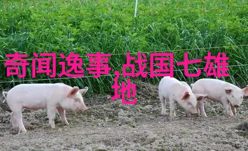 穿越时空的牛奶瓶揭秘历史上那些荒谬又真实的故事