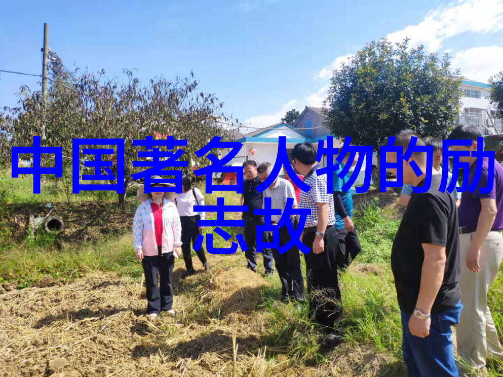 多元婚姻与情感共享一夫多妻制度下的爱情平衡探究家庭关系重塑情感管理技巧