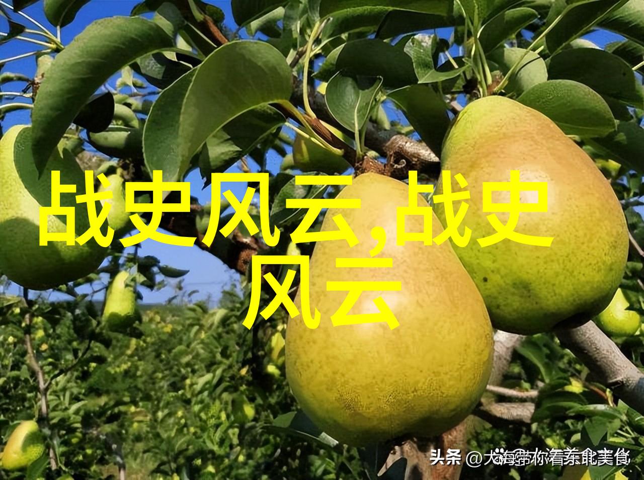 宋朝开国皇帝赵匡胤的儿子宋哲宗赵煦如何在短暂的人生中成就了一段传奇