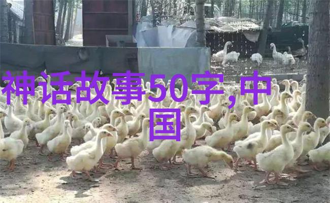 英语学习助手让每个晚上都充满进步的秘诀