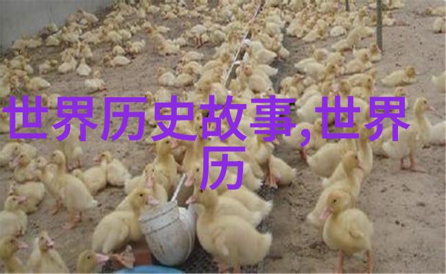 郭子兴三国时期袁姓英雄的故事穿越千年与物品共鸣