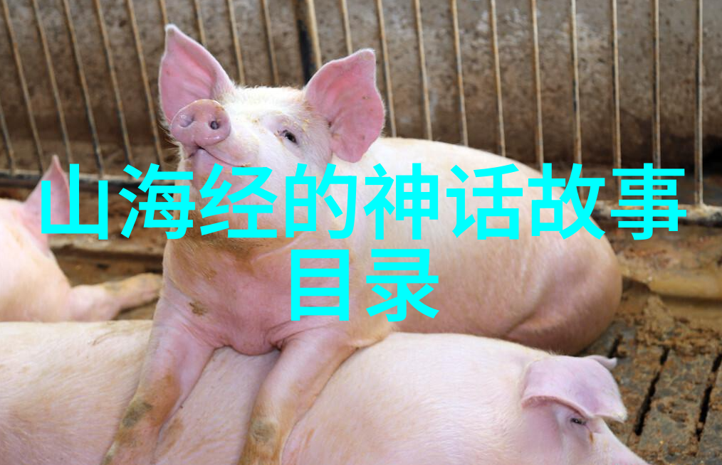你知道吗历史网站推荐中有哪些能让你深入了解古代后宫干预朝政的原因除了追求自己的地位之外还有没有可能是