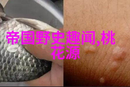 中国近代历史趣事探秘隐世传奇与历史笑谈