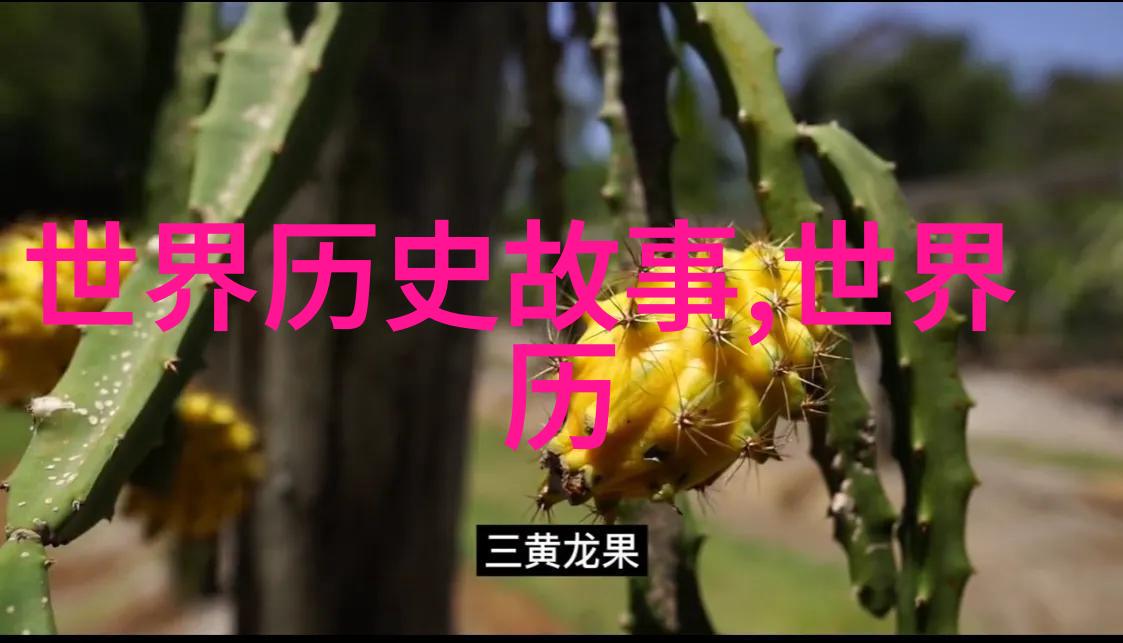 探索文明的长河从五千年历史的起点到现代社会的变迁