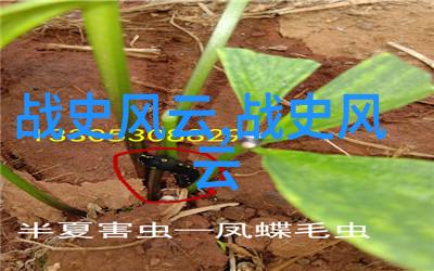 中国经典民间故事有哪些-探秘中华古老传说揭秘那些被世人喜爱的经典故事