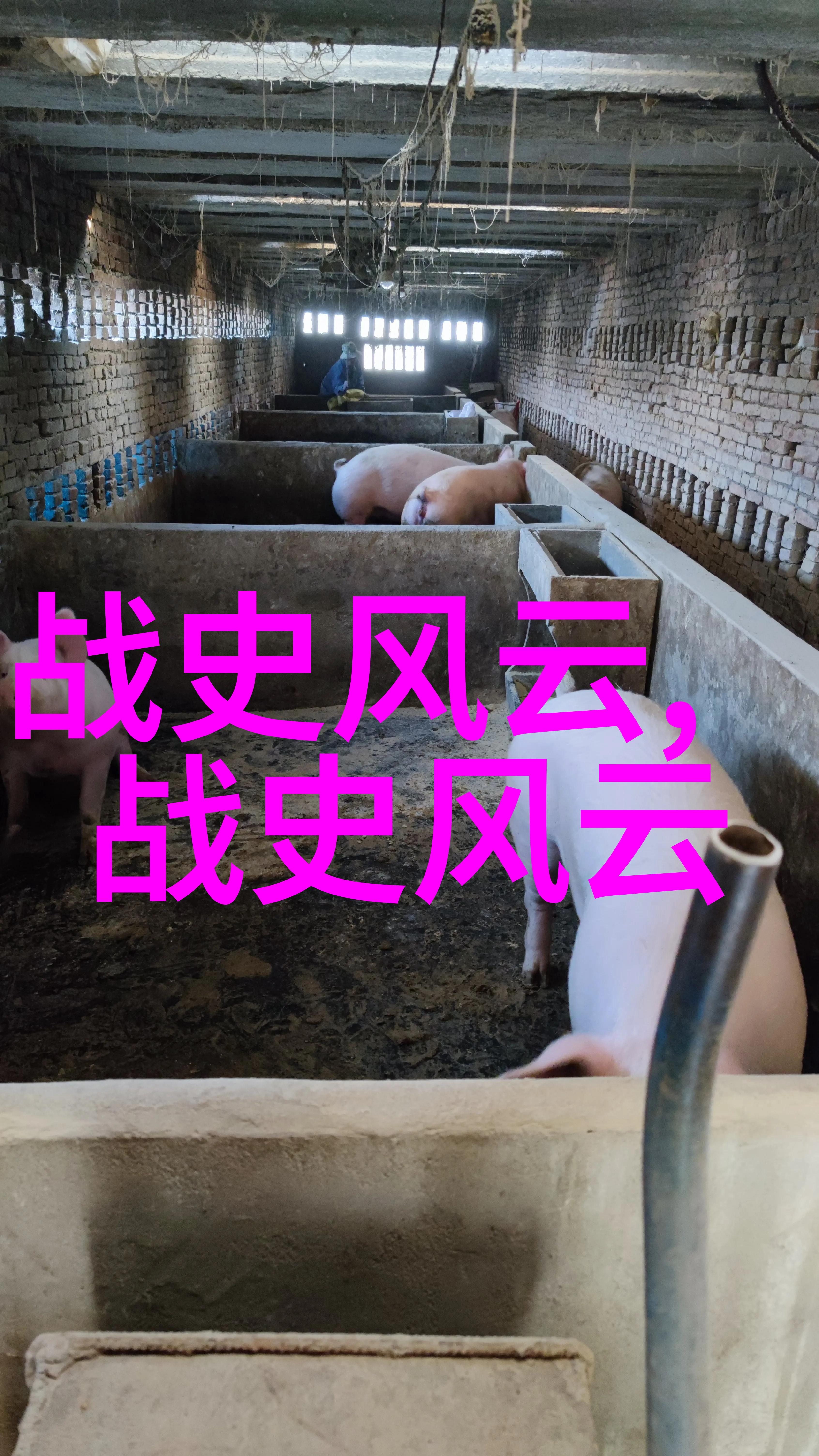 当代青年是否应该了解并记住那些与国家兴亡紧密相关的悲剧故事