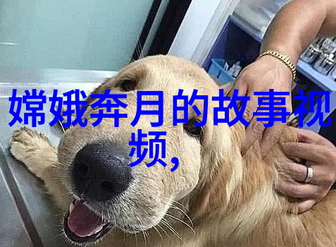 影像回响恐怖片中的过往阴霾