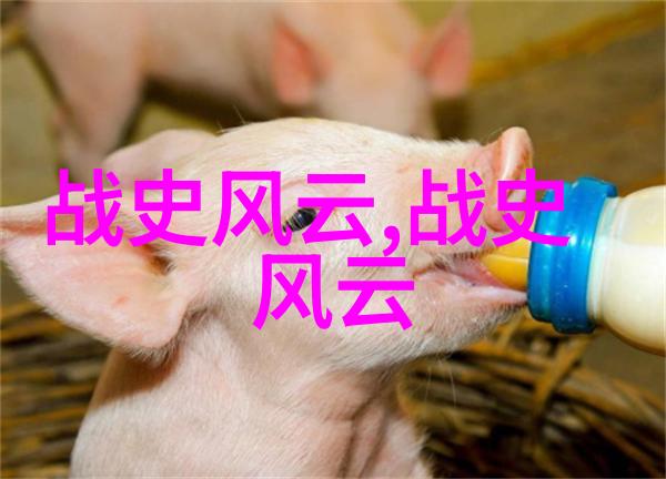荀悦的汉纪含蓄的帝王赞歌