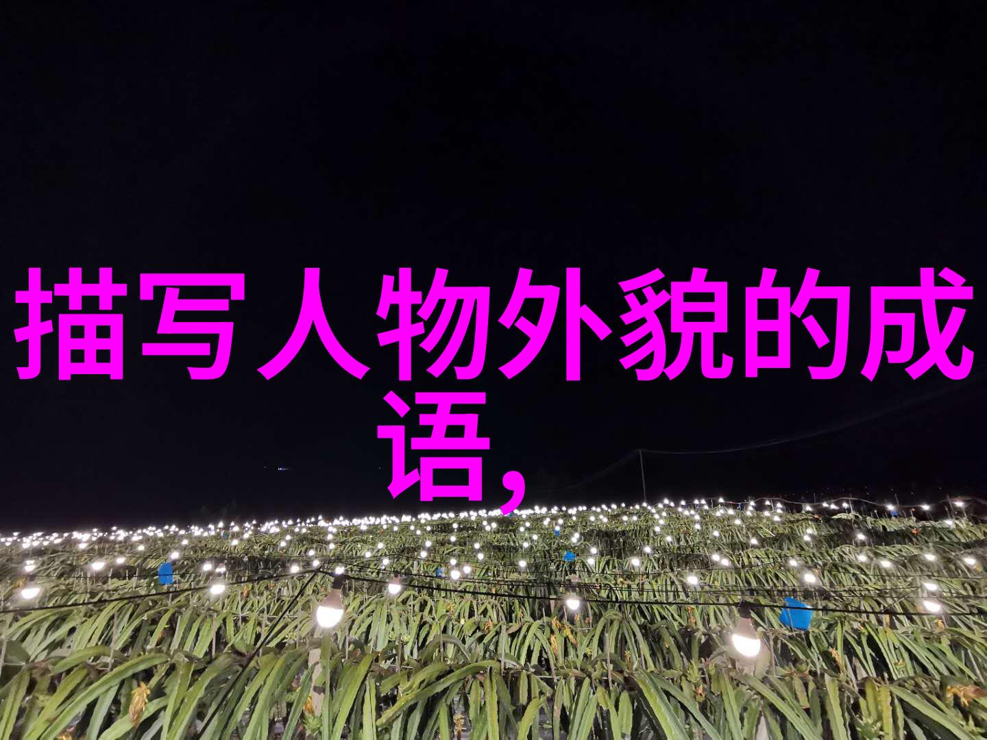 穿越时空揭秘历史上那些令人惊叹的名人经历