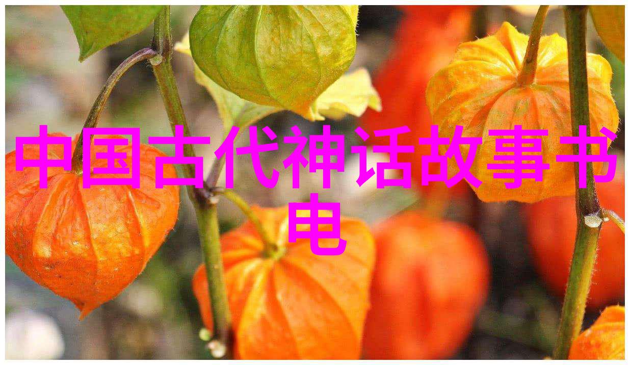 三国风云录乱世佳人与野史传奇