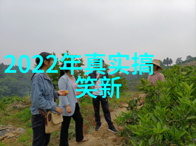 英雄事迹-黄继光的故事在阵地上献身的勇士