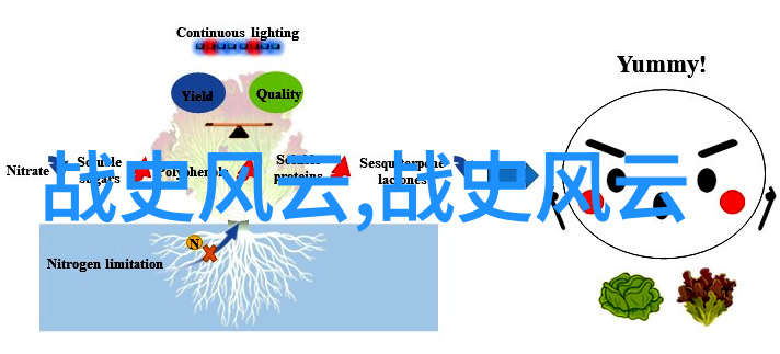 从金国入侵到两宋分裂解读南宋与北宋的历史转折点
