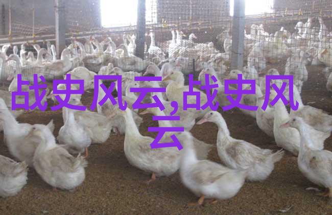 灰姑娘变美魔法变身的公主