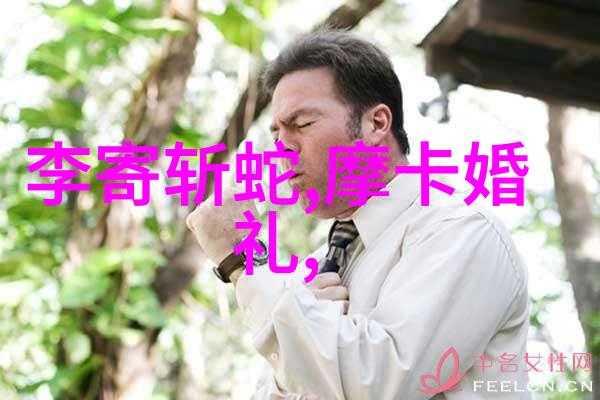 苏轼与东坡园林宋代文人画家的艺术追求