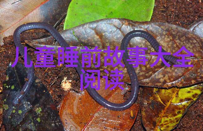 玻璃滑梯上的魔法灰姑娘的奇遇