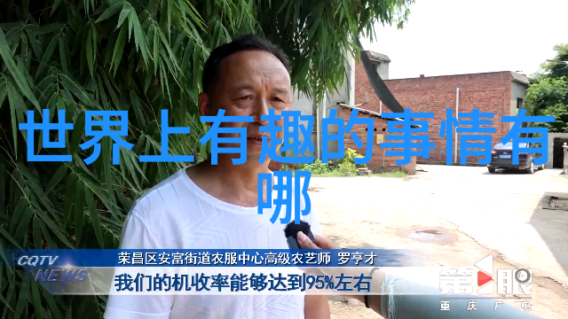 朱允炆与朱棣的对决明朝皇位之争