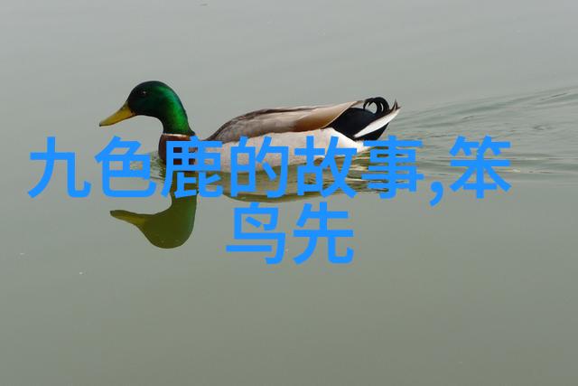 天津区号追溯历史足迹共享城市文化