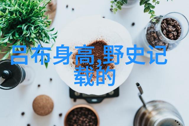 亦思马因东汉风云下的智者传奇