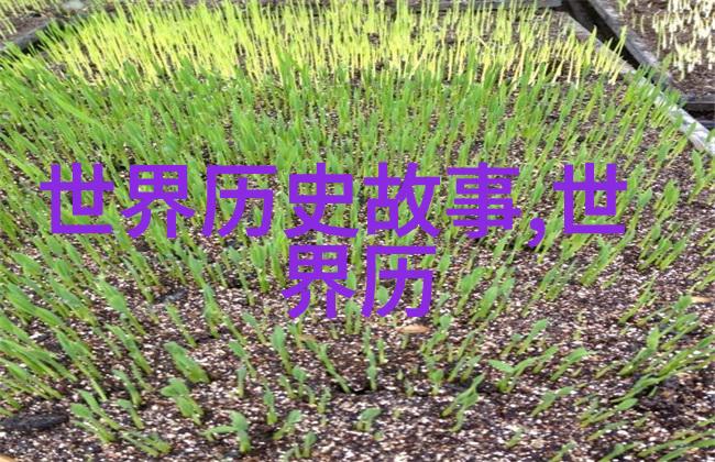 红楼梦中的幽梦探索中国经典传统文化故事的深层含义