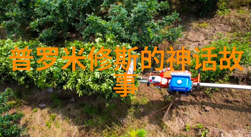 李白的酒神传说他真的喝醉了吗