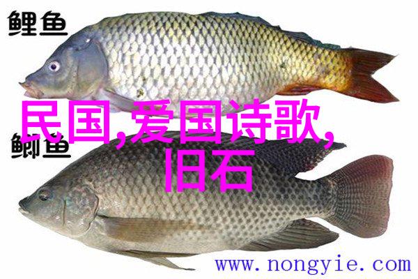 中国历代风华传二十四朝兴衰漫