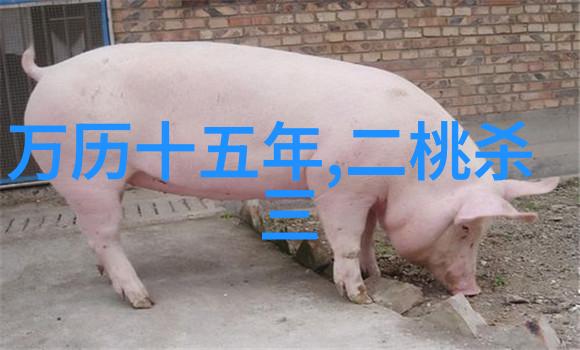 在星光下月亮的秘密花园里有没有一棵永远盛开的梦想之树