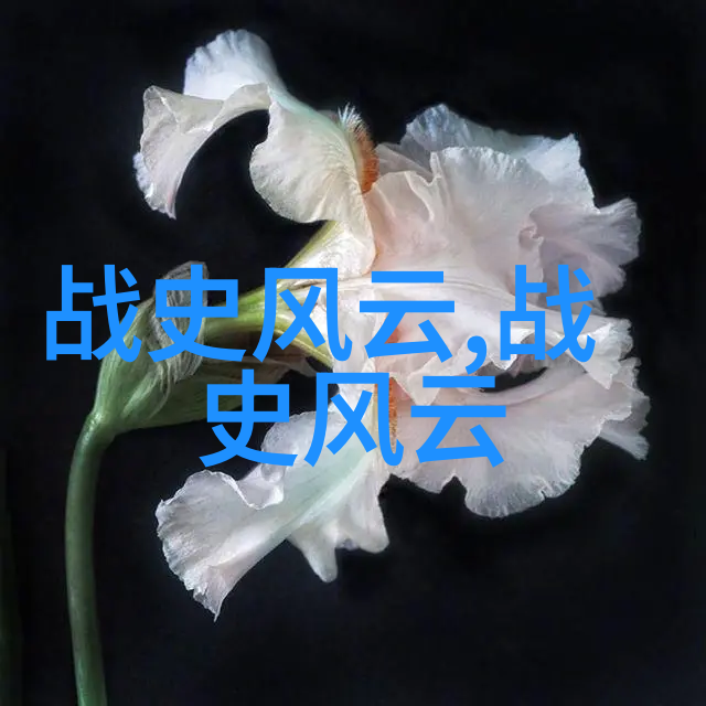 古代中国四大名著精华红楼梦三国演义水浒传西游记的经典故事