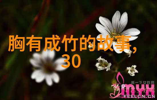 深林幽事月下狼牙交响曲